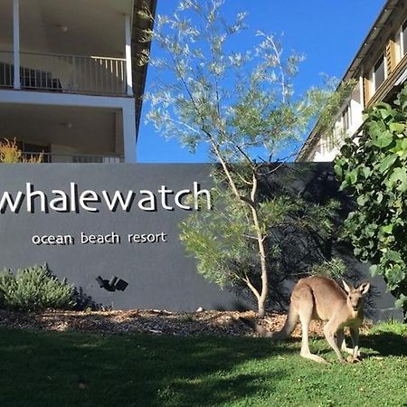 Whale Watch Ocean Beach Resort Point Lookout Bagian luar foto
