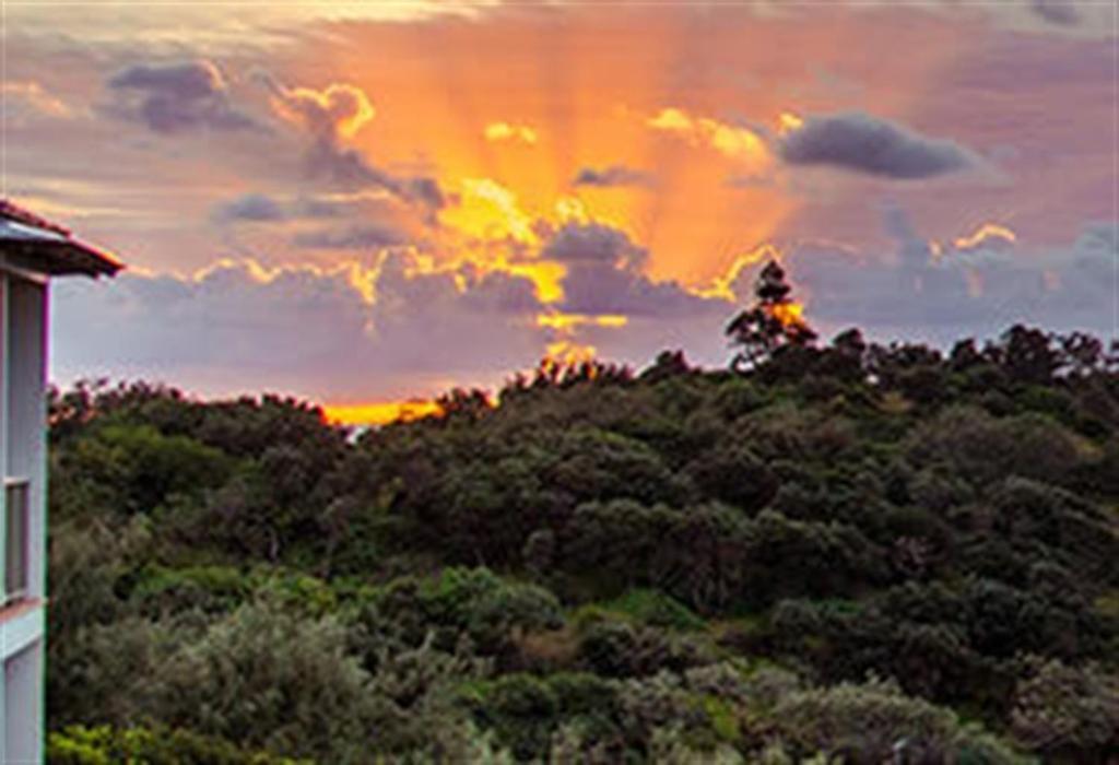 Whale Watch Ocean Beach Resort Point Lookout Bagian luar foto
