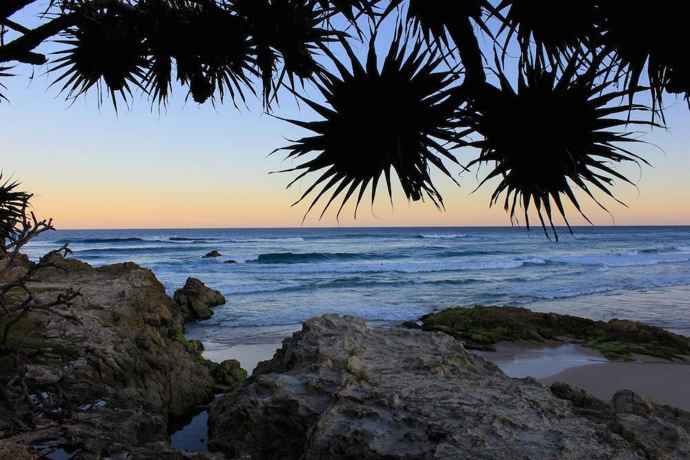 Whale Watch Ocean Beach Resort Point Lookout Bagian luar foto