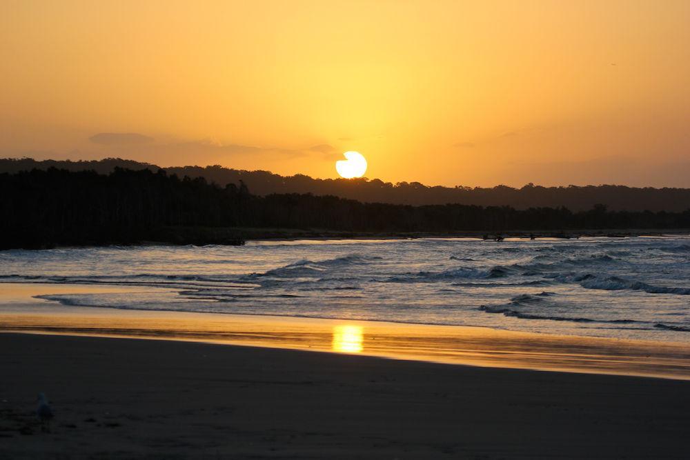 Whale Watch Ocean Beach Resort Point Lookout Bagian luar foto