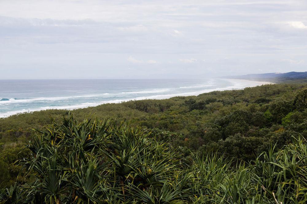 Whale Watch Ocean Beach Resort Point Lookout Bagian luar foto